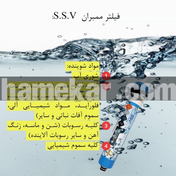 دستگاه تصفیه کننده آب اس اس وی مدل MaxGold N 2W X1055 +3F به همراه شیر دوکاره و فیلتر