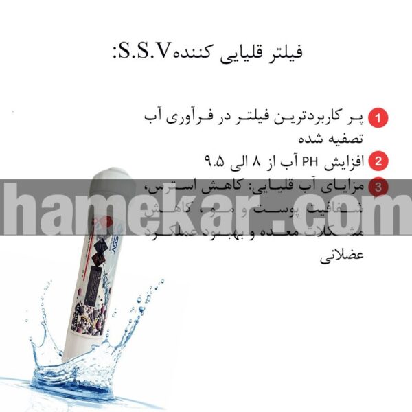 دستگاه تصفیه کننده آب اس اس وی مدل MaxGold N 2W X1055 +3F به همراه شیر دوکاره و فیلتر