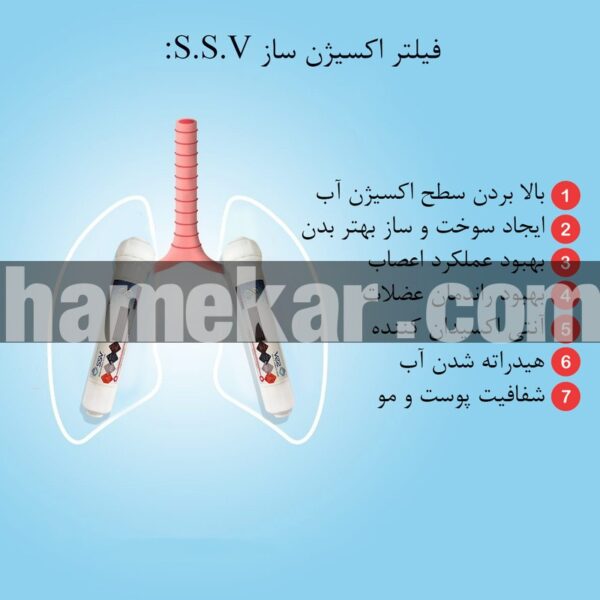 دستگاه تصفیه کننده آب اس اس وی مدل UltraPro X1000 V + 3F به همراه فیلتر